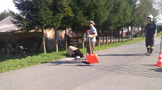 Kronika jednostki 2017 — cały rok — zdjęcie 52