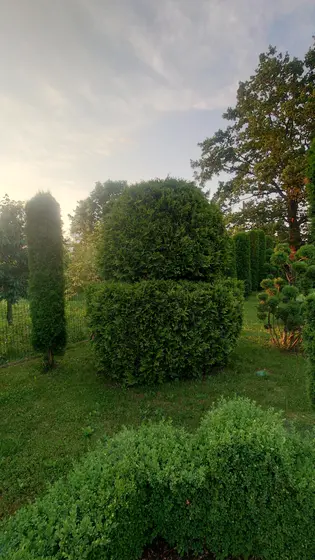 Kałusz — zdjęcie 69