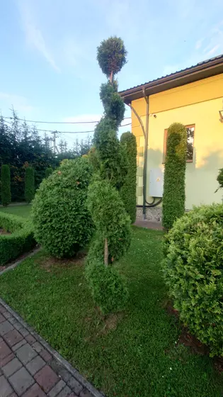 Kałusz — zdjęcie 70