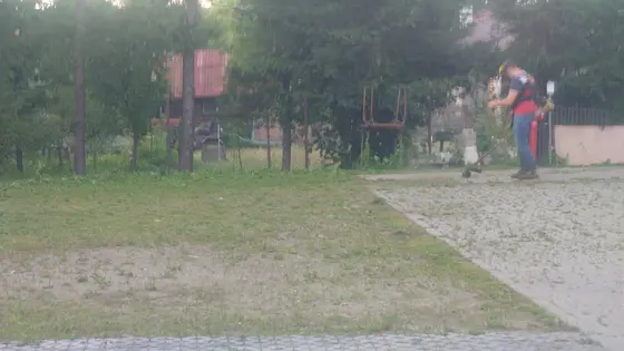 Koszenie trawy — zdjęcie 4