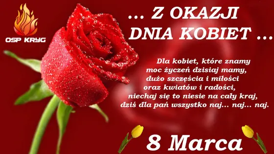 Kronika jednostki 2015 — cały rok — zdjęcie 2159
