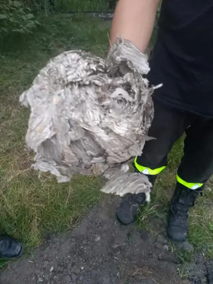 Kronika jednostki 2018 — cały rok — zdjęcie 332