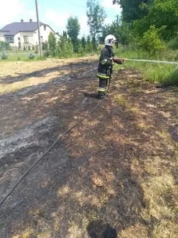 Kronika jednostki 2018 — cały rok — zdjęcie 369