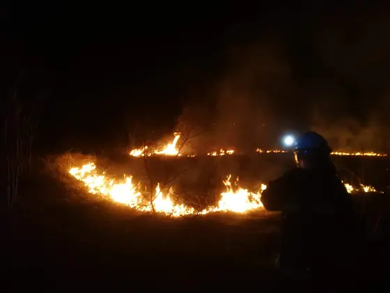 Kronika jednostki 2019 — cały rok — zdjęcie 627