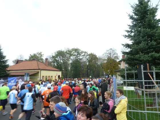 Kronika jednostki 2014 — cały rok — zdjęcie 258