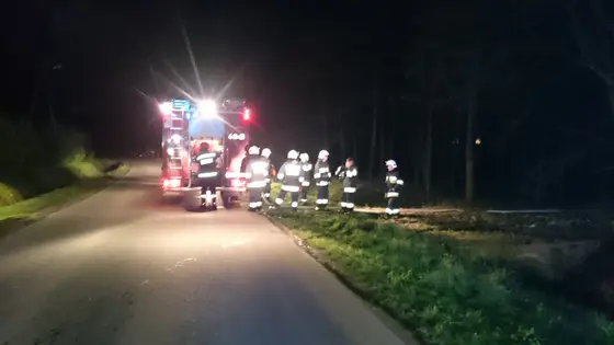 Ognisko 1050 Rocznica Chrztu Polski — zdjęcie 4