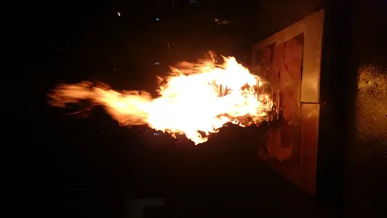 Ognisko 1050 Rocznica Chrztu Polski — zdjęcie 21
