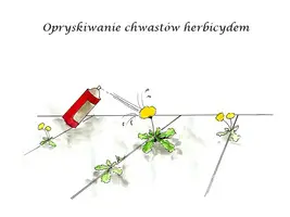 Opryskiwanie Gabriel (prace porządkowe) — zdjęcie 5