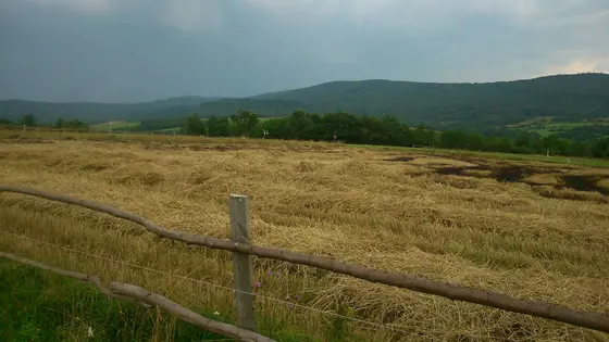 Kronika jednostki 2014 — cały rok — zdjęcie 929