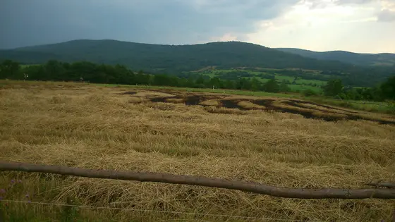 Kronika jednostki 2014 — cały rok — zdjęcie 930