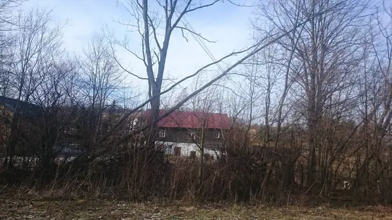 Powalone drzewo – 07.02.2016 — zdjęcie 15