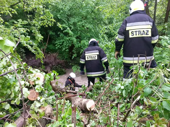 Kronika jednostki 2014 — cały rok — zdjęcie 1350