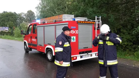 Powalone drzewo – 31.07.2016 — zdjęcie 15