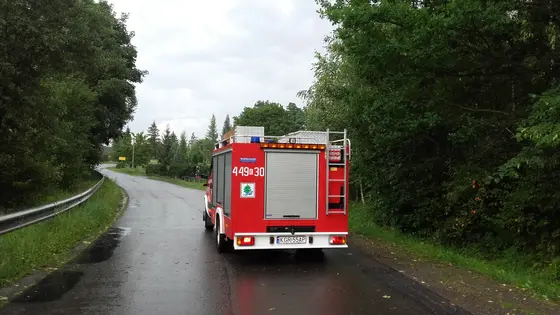 Powalone drzewo – 31.07.2016 — zdjęcie 19