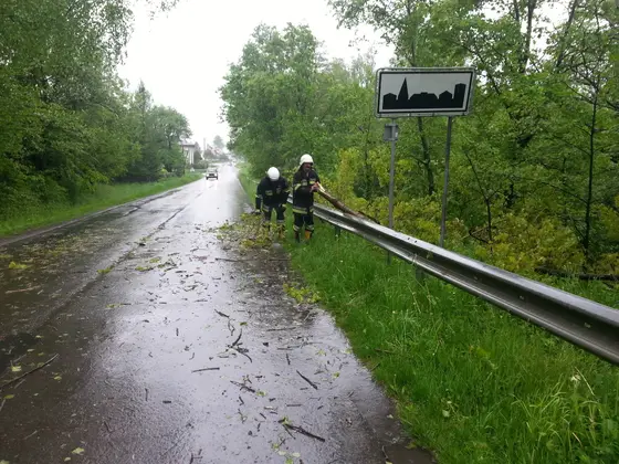 Powalone konary drzewa – 15.05.2014