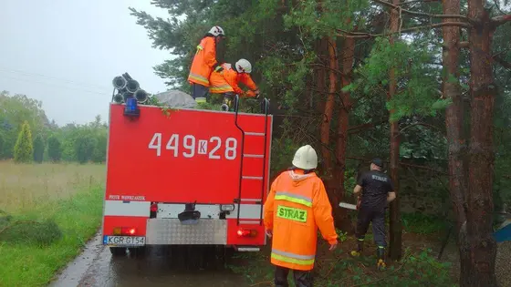 Kronika jednostki 2014 — cały rok — zdjęcie 893