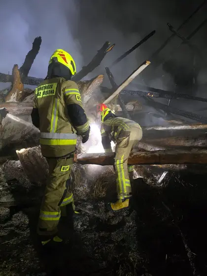 Pożar budynku gospodarczego — Lipinki, 15.01.2026 — zdjęcie 11