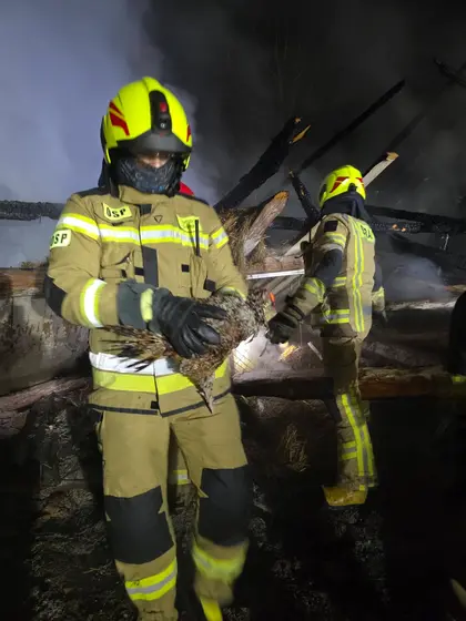 Pożar budynku gospodarczego — Lipinki, 15.01.2026 — zdjęcie 13