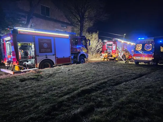 Pożar domku letniskowego — Dominikowice, 02.03.2026 — zdjęcie 2