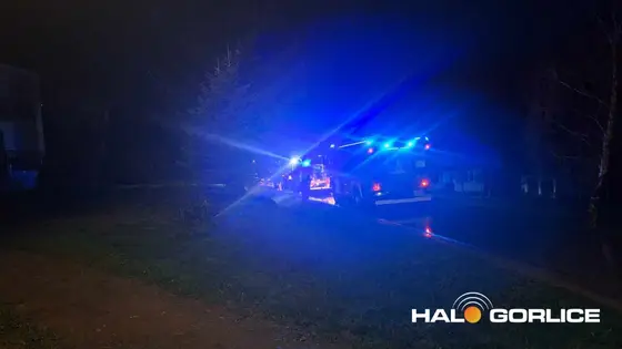 Pożar drewutni Jedle Kryg — zdjęcie 10