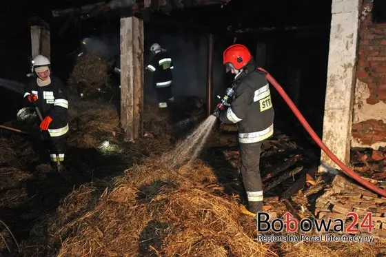 Kronika jednostki 2015 — cały rok — zdjęcie 2330