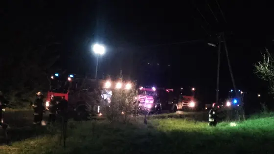 Pożar pustostanu – 16.04.2016 Wójtowa — zdjęcie 40