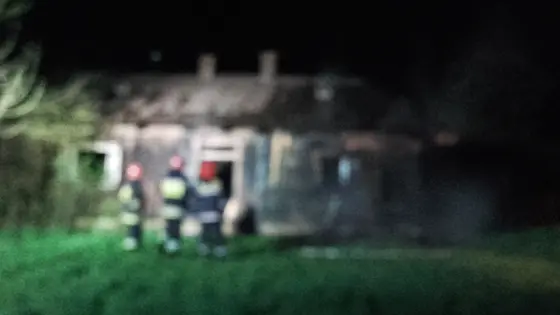 Pożar pustostanu – 16.04.2016 Wójtowa — zdjęcie 25