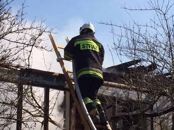 Pożar pustostanu – 25.03.2016 — zdjęcie 38