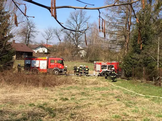 Pożar pustostanu – 25.03.2016 — zdjęcie 41