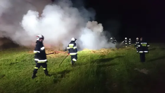 Kronika jednostki 2015 — cały rok — zdjęcie 1171