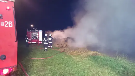 Kronika jednostki 2015 — cały rok — zdjęcie 1182