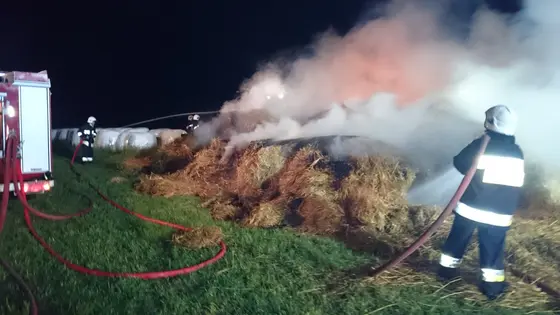 Kronika jednostki 2015 — cały rok — zdjęcie 1184