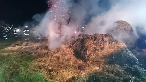 Kronika jednostki 2015 — cały rok — zdjęcie 1186
