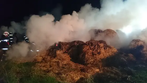 Kronika jednostki 2015 — cały rok — zdjęcie 1187