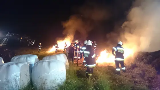 Kronika jednostki 2015 — cały rok — zdjęcie 1188