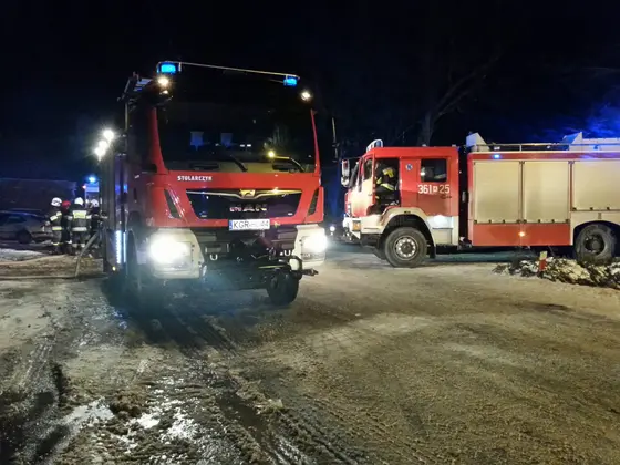 Pożar tartaku w Owczarach – 02.01.2015 — zdjęcie 18