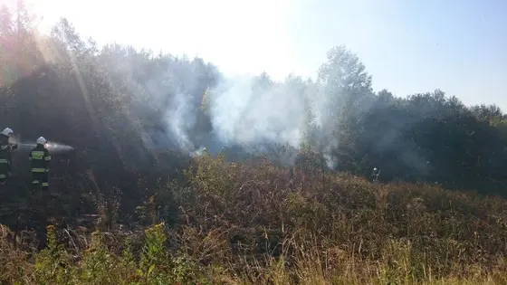 Pożar traw – 01.09.2015