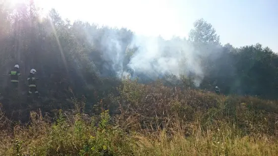 Pożar traw – 01.09.2015 — zdjęcie 2