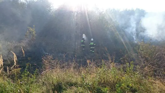 Pożar traw – 01.09.2015 — zdjęcie 3