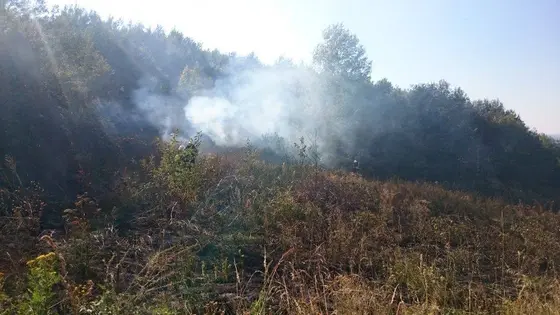 Pożar traw – 01.09.2015 — zdjęcie 5