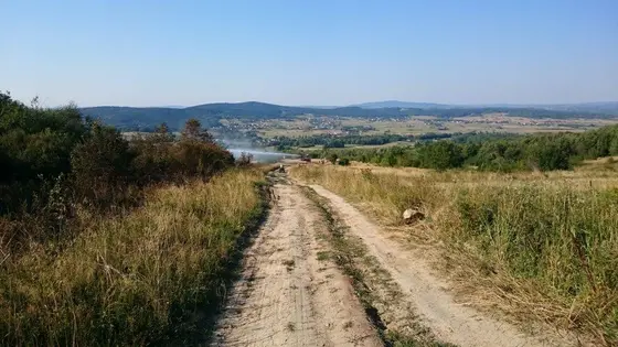 Pożar traw – 01.09.2015 — zdjęcie 9
