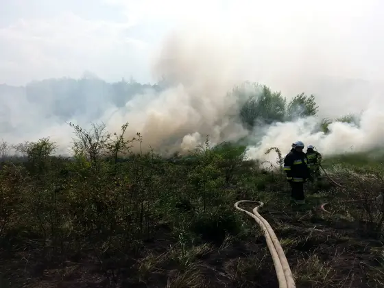 Pożar traw – 02.05.2014 — zdjęcie 4