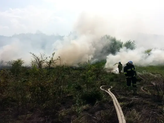 Pożar traw – 02.05.2014 — zdjęcie 5