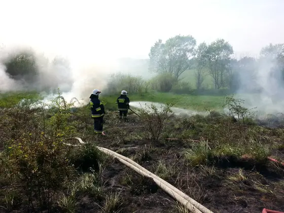Pożar traw – 02.05.2014 — zdjęcie 6