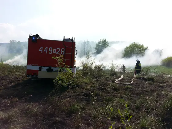 Pożar traw – 02.05.2014 — zdjęcie 7