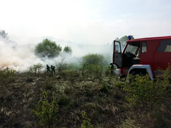 Pożar traw – 02.05.2014 — zdjęcie 12