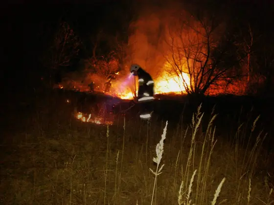 Kronika jednostki 2014 — cały rok — zdjęcie 1536