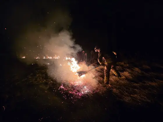 Pożar traw — 04.03.2026 — zdjęcie 2