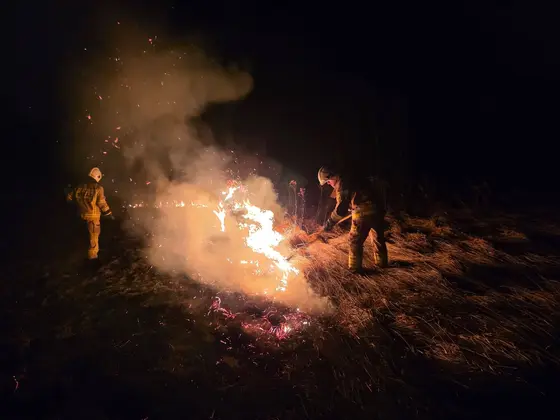 Pożar traw — 04.03.2026 — zdjęcie 4