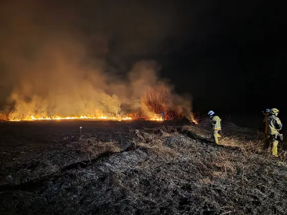 Pożar traw — 04.03.2026 — zdjęcie 6